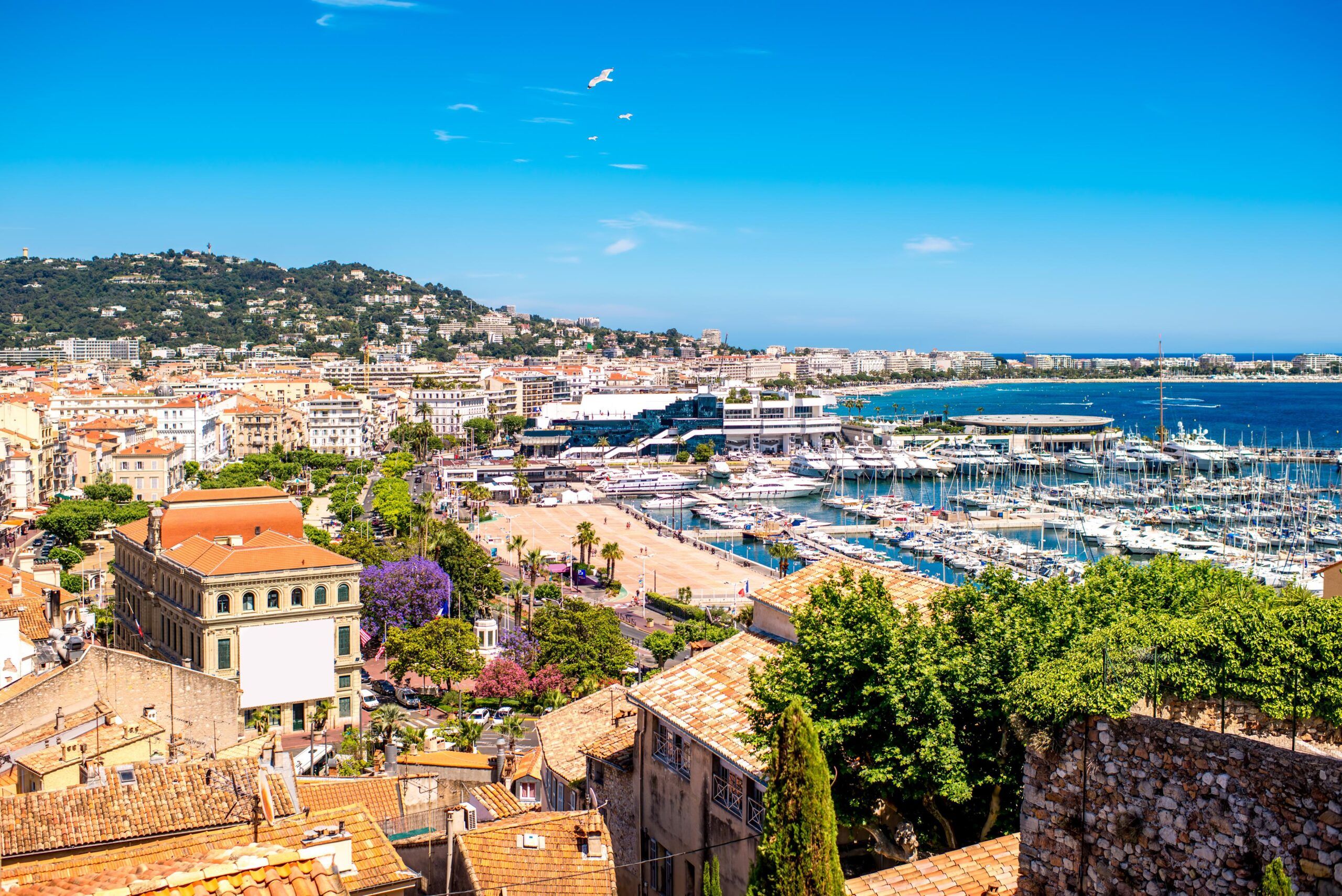 Cannes: The Ultimate Guide to the Glitz and Glamour of the French Riviera