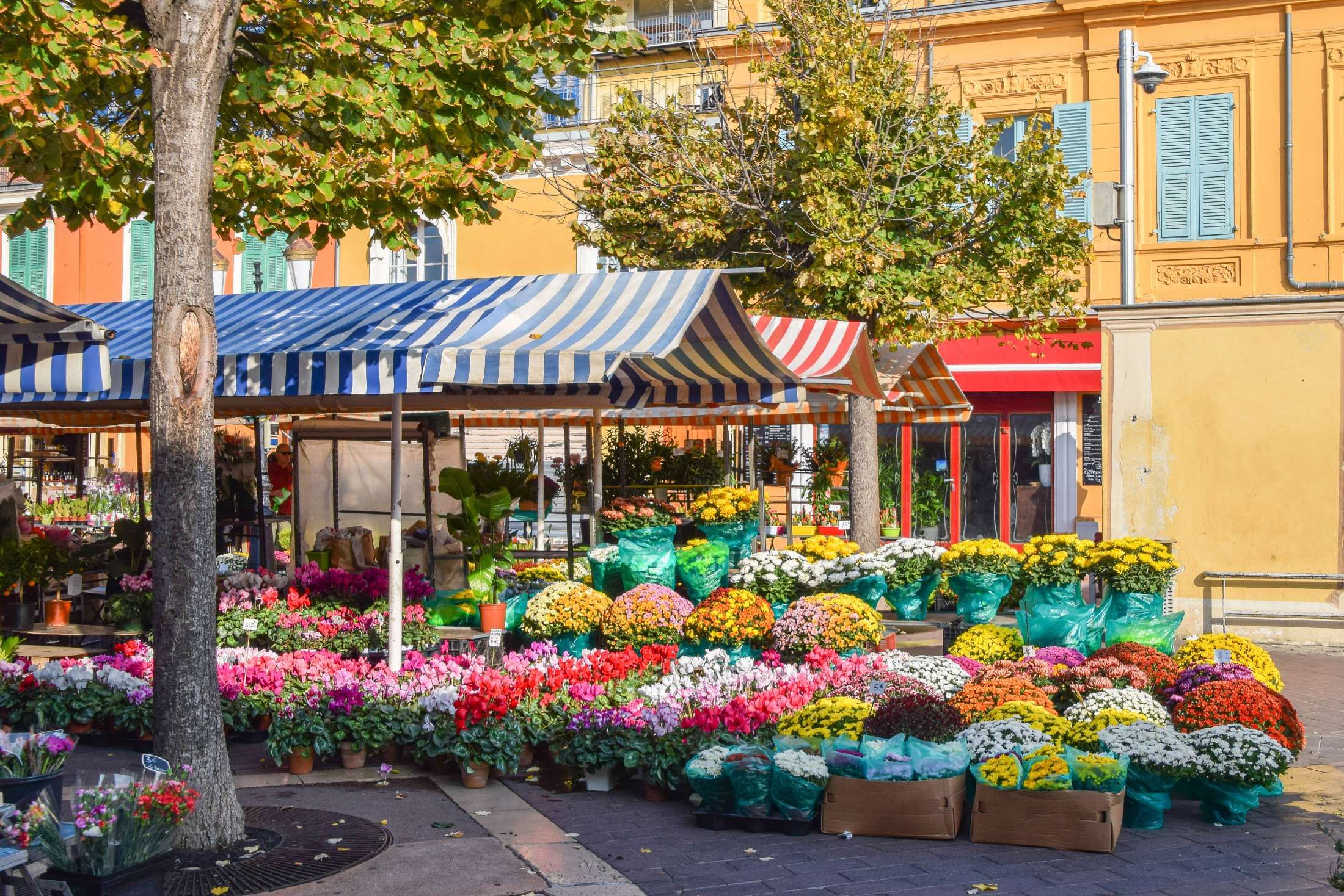 Cours Saleya: The Heartbeat of Nice You Can’t Miss