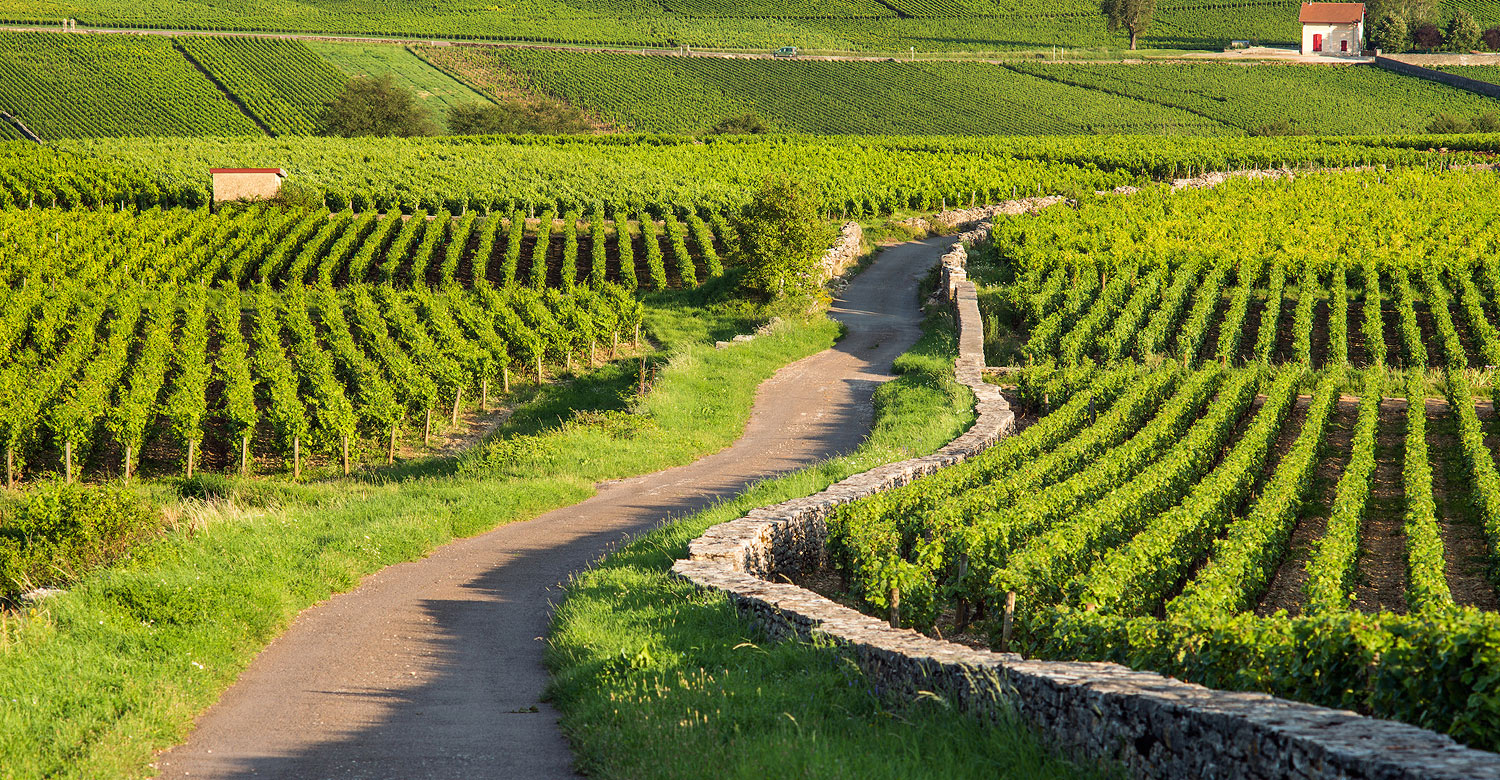 Burgundy: Unveiling the Charm of France&#8217;s Most Elegant Region