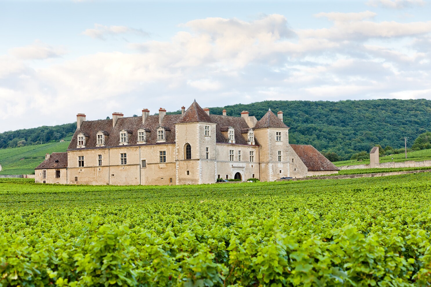 Burgundy: Unveiling the Charm of France&#8217;s Most Elegant Region