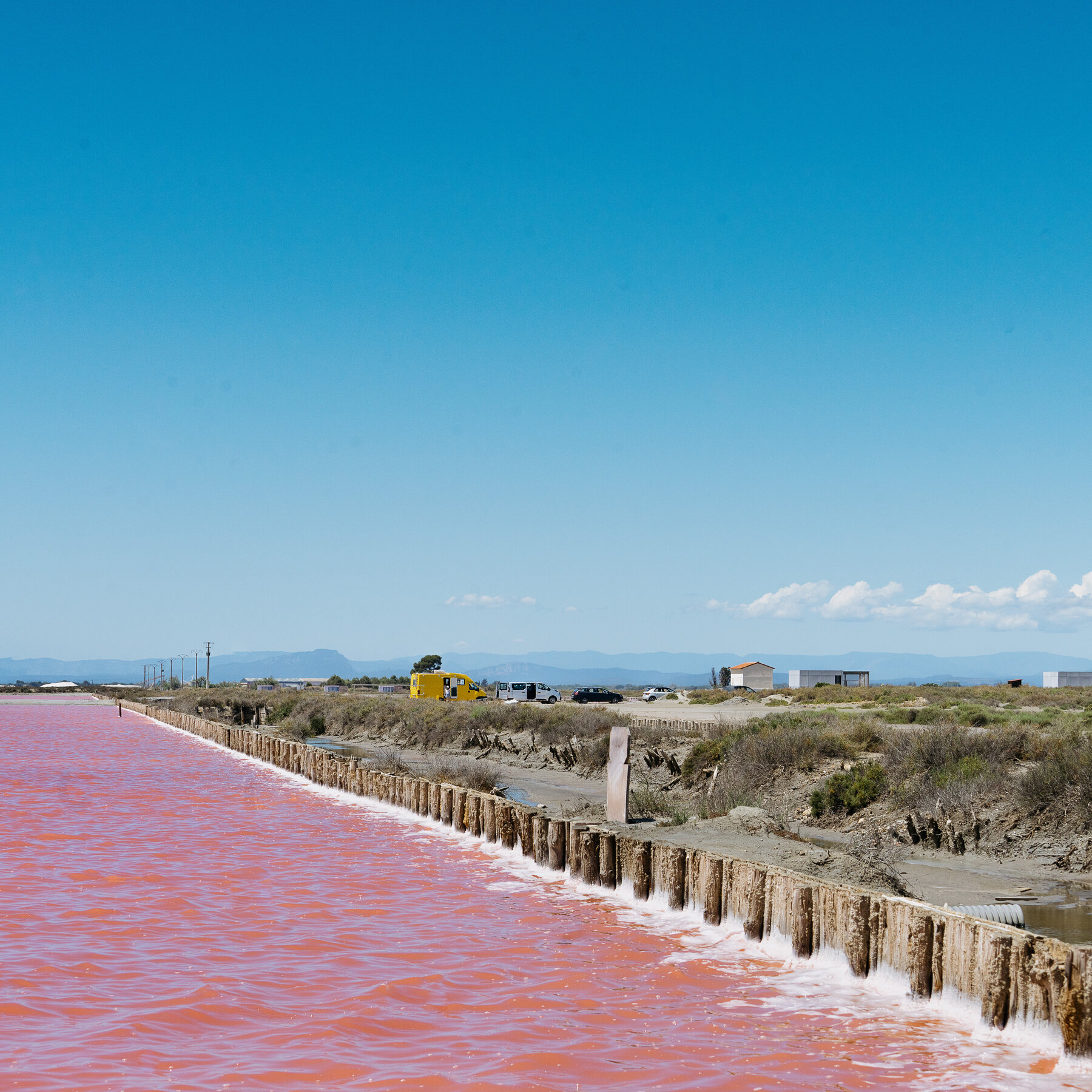 Camargue: The Wild and Beautiful French Destination You Can’t Miss