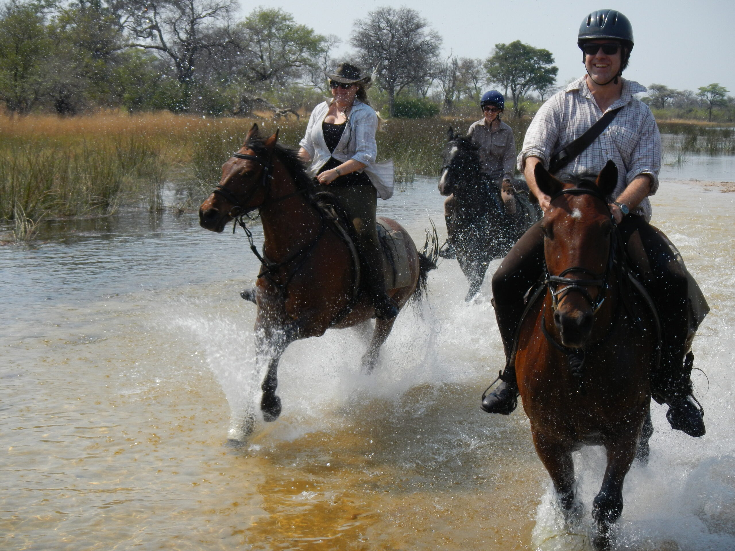 Camargue: The Wild and Beautiful French Destination You Can’t Miss
