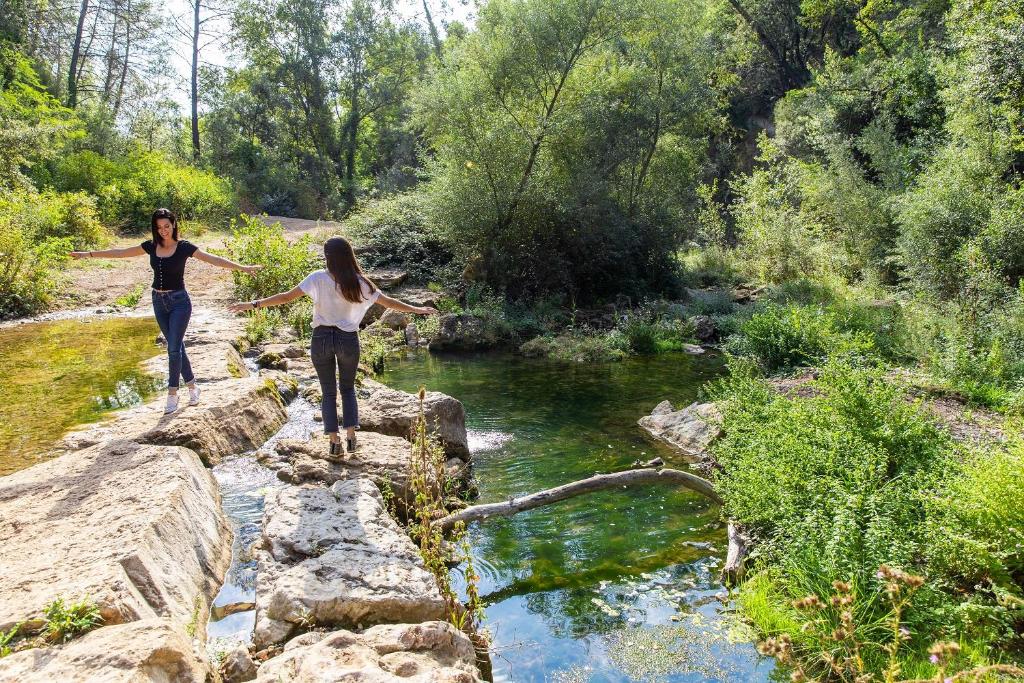 Discover Château de Berne: Your Ultimate Destination for Luxury and Relaxation
