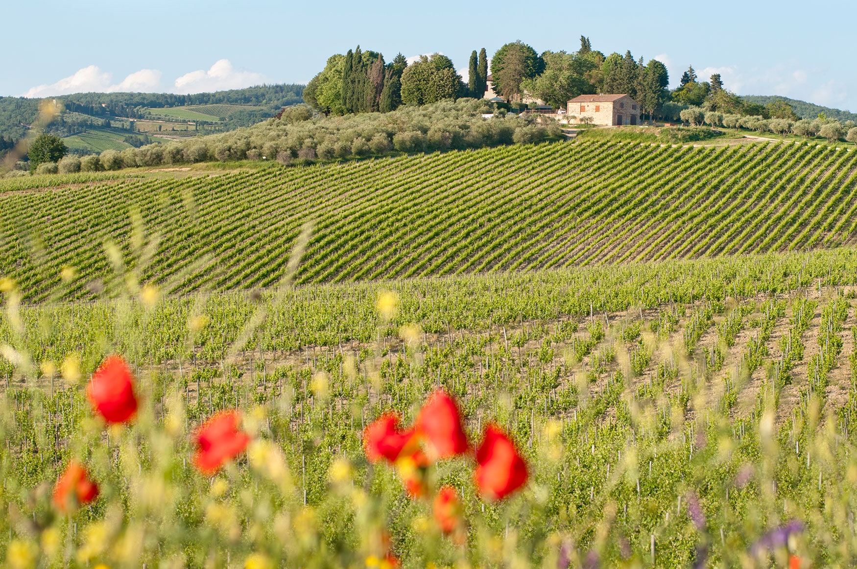 Discover the Magic of Château de Montcaud: A Hidden Gem in Southern France