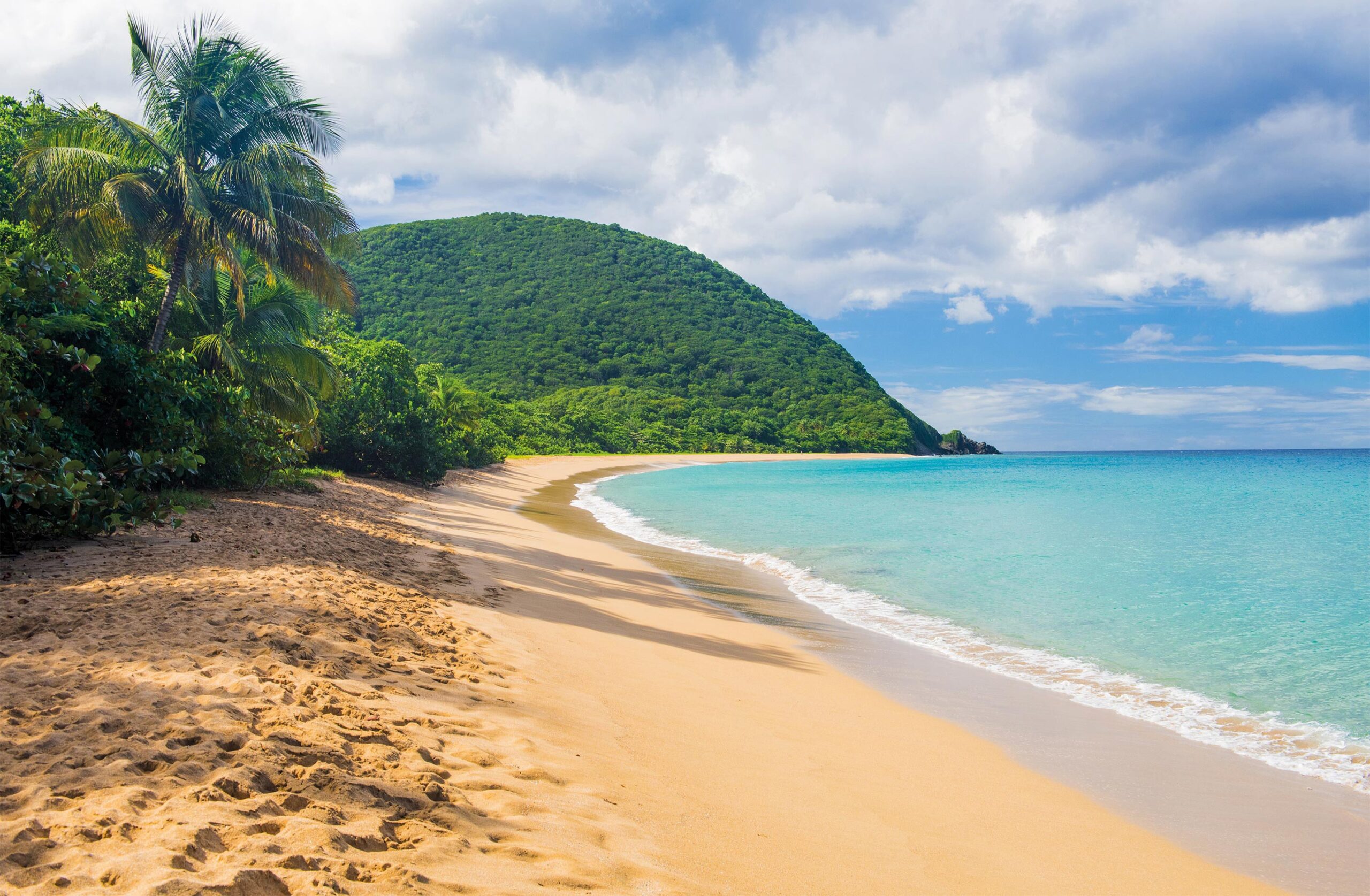 Guadeloupe: Your Ultimate Guide to the Caribbean Paradise