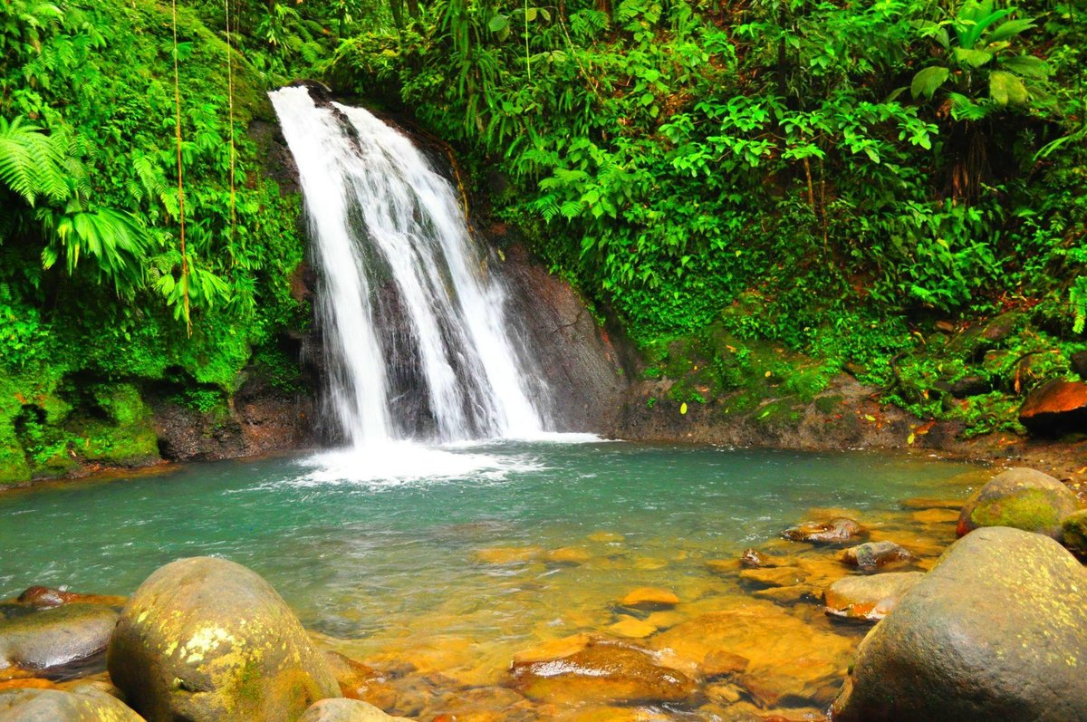 Guadeloupe: Your Ultimate Guide to the Caribbean Paradise