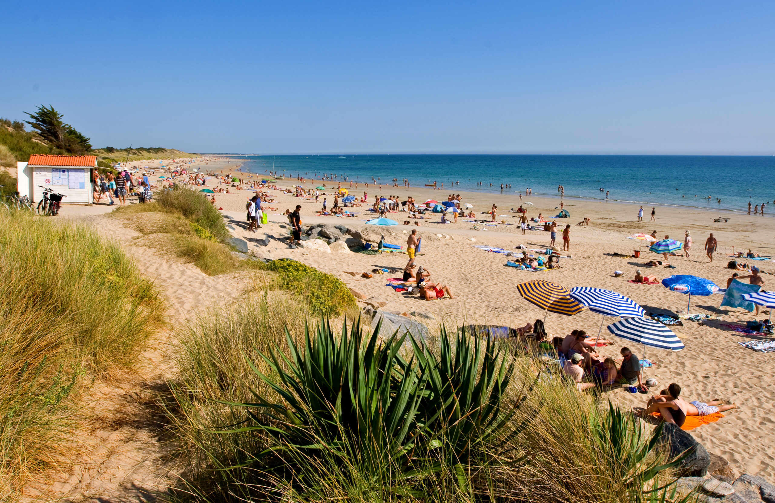 Île de Ré: A Hidden Gem in France You Absolutely Need to Visit