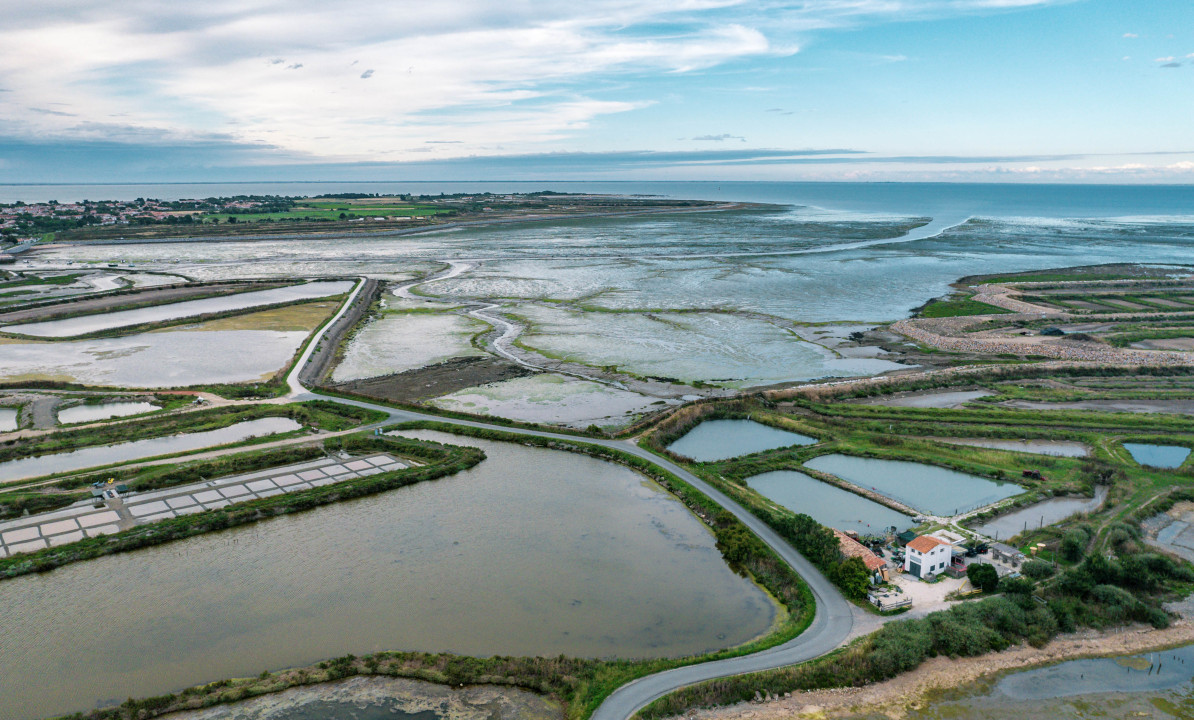 Île de Ré: A Hidden Gem in France You Absolutely Need to Visit
