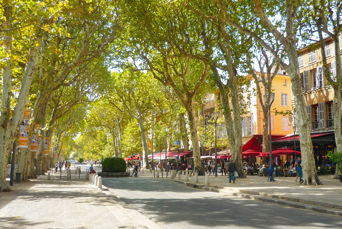 Maison Blue Palm Aix en Provence: The Ultimate Luxury Stay in the Heart of Provence