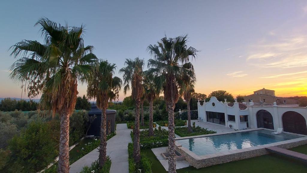 Maison Blue Palm Aix en Provence: The Ultimate Luxury Stay in the Heart of Provence