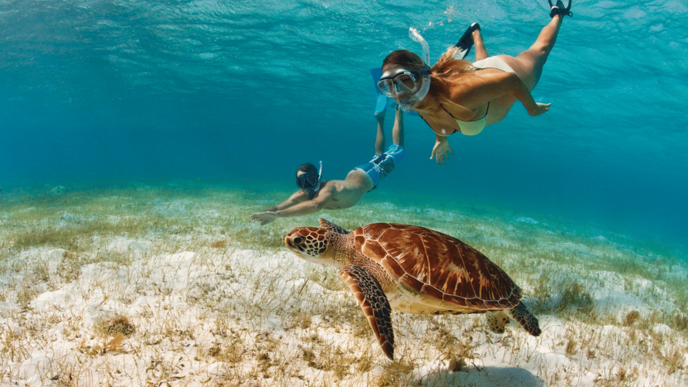 Martinique: Your Ultimate Guide to the Caribbean Paradise You Can&#8217;t Miss