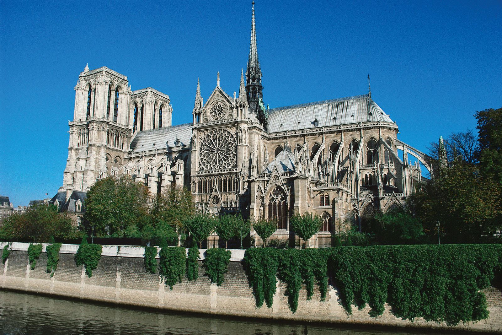 Notre Dame Cathedral Paris: The Timeless Beauty You Can’t Miss in the City of Lights