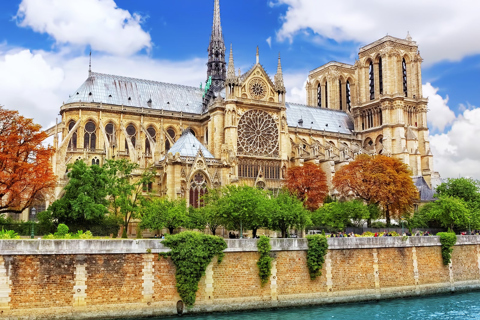 Notre Dame Cathedral Paris: The Timeless Beauty You Can’t Miss in the City of Lights