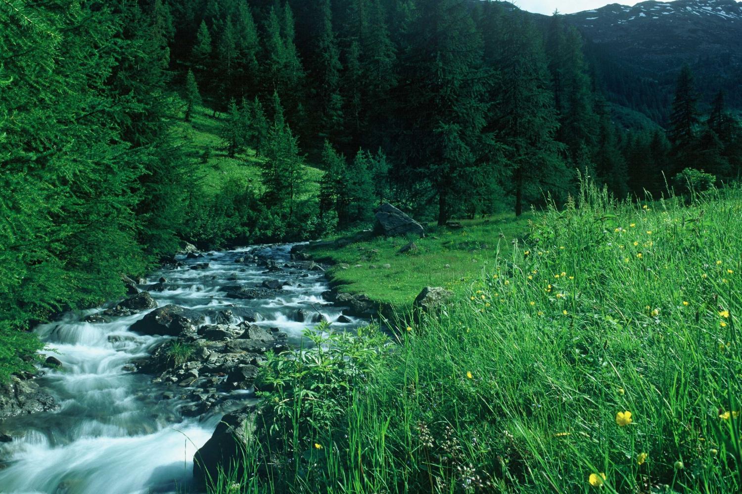 Parc National des Écrins: Discover France&#8217;s Hidden Gem in the Alps
