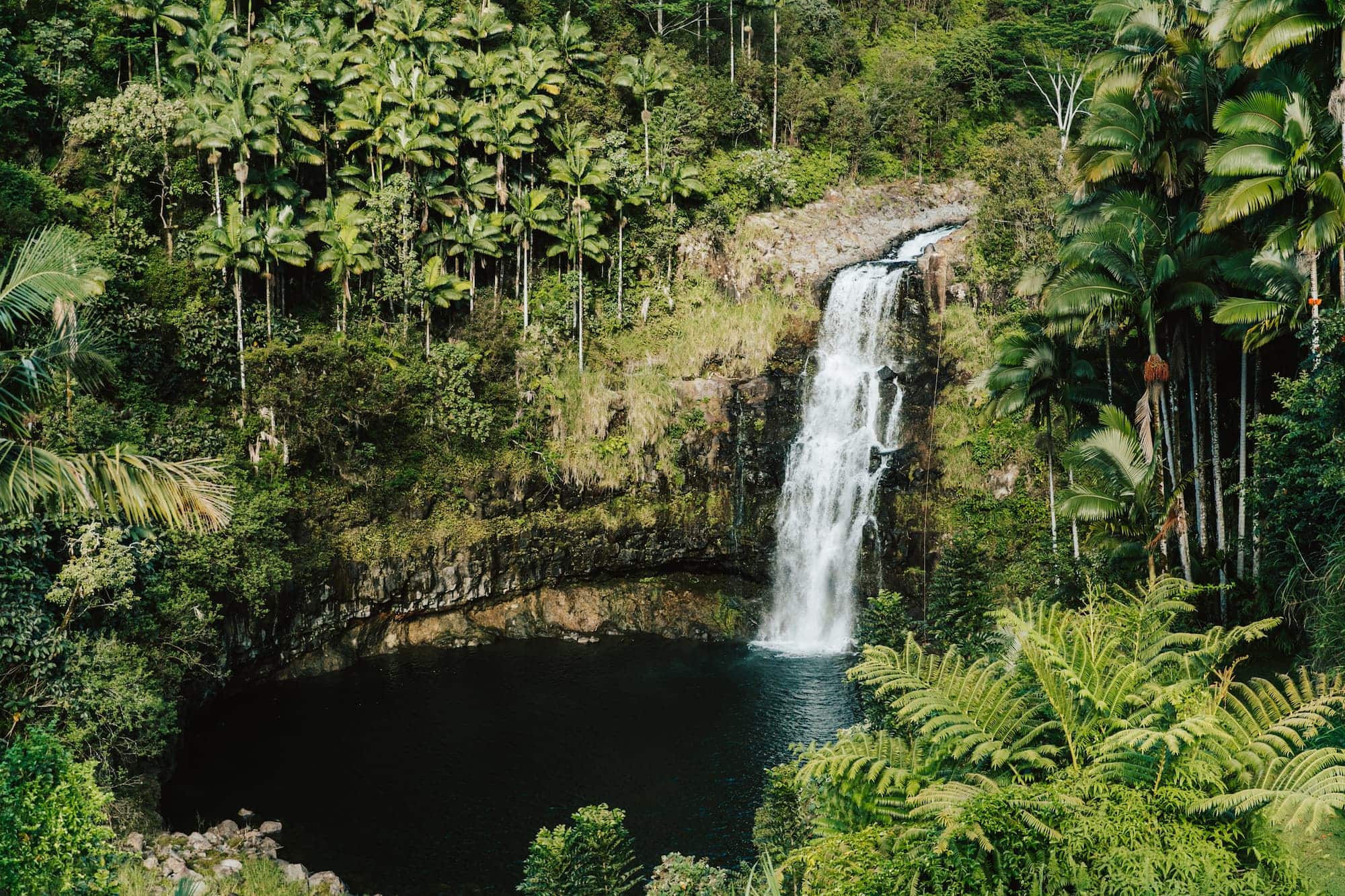 Réunion Island: Your Ultimate Guide to Exploring This Hidden Paradise