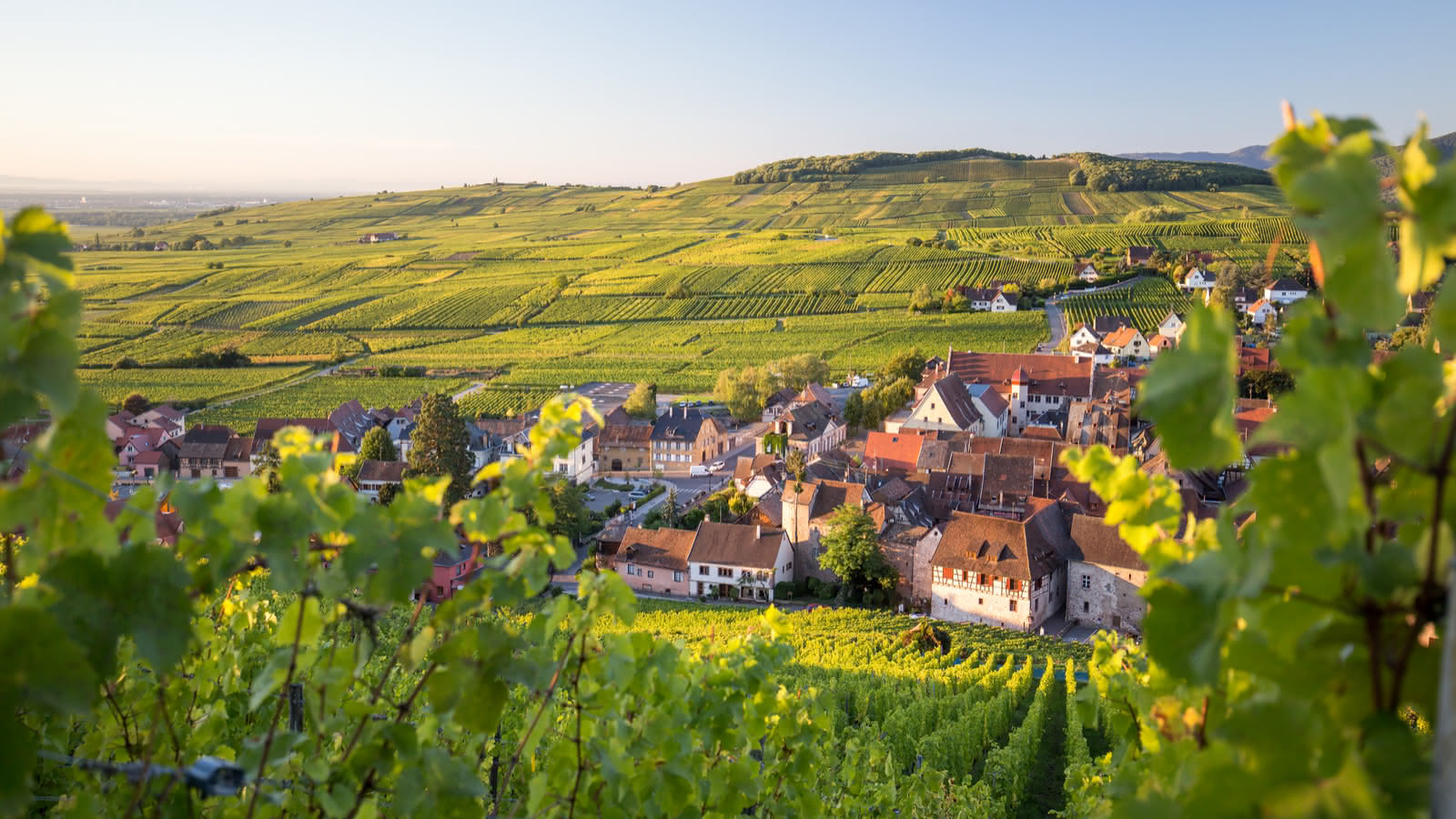 Route des Vins d’Alsace: A Scenic Journey Through the Heart of France’s Wine Region