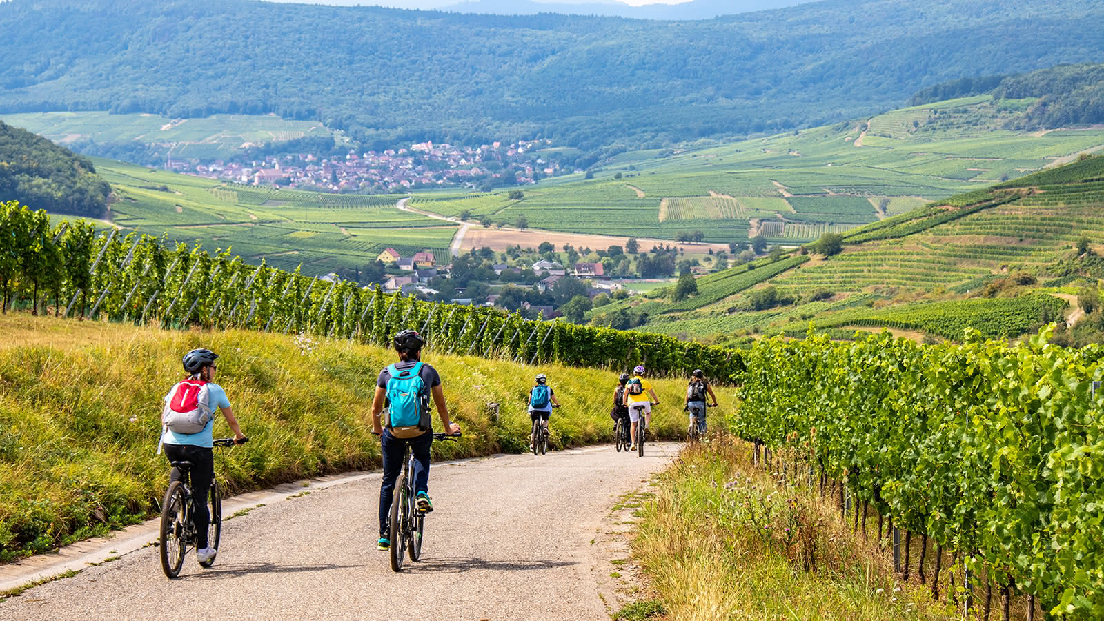 Route des Vins d’Alsace: A Scenic Journey Through the Heart of France’s Wine Region