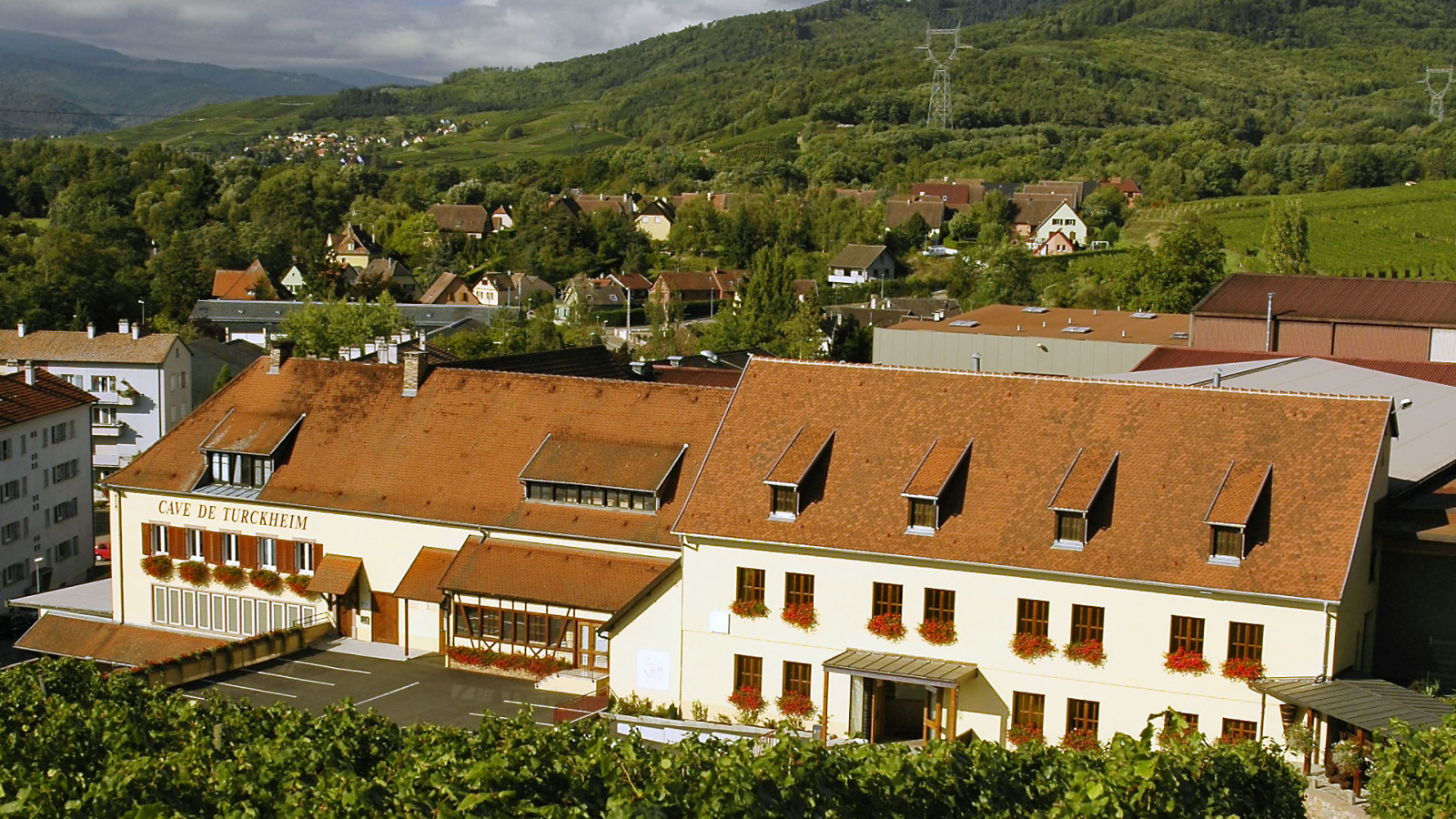 Route des Vins d’Alsace: A Scenic Journey Through the Heart of France’s Wine Region