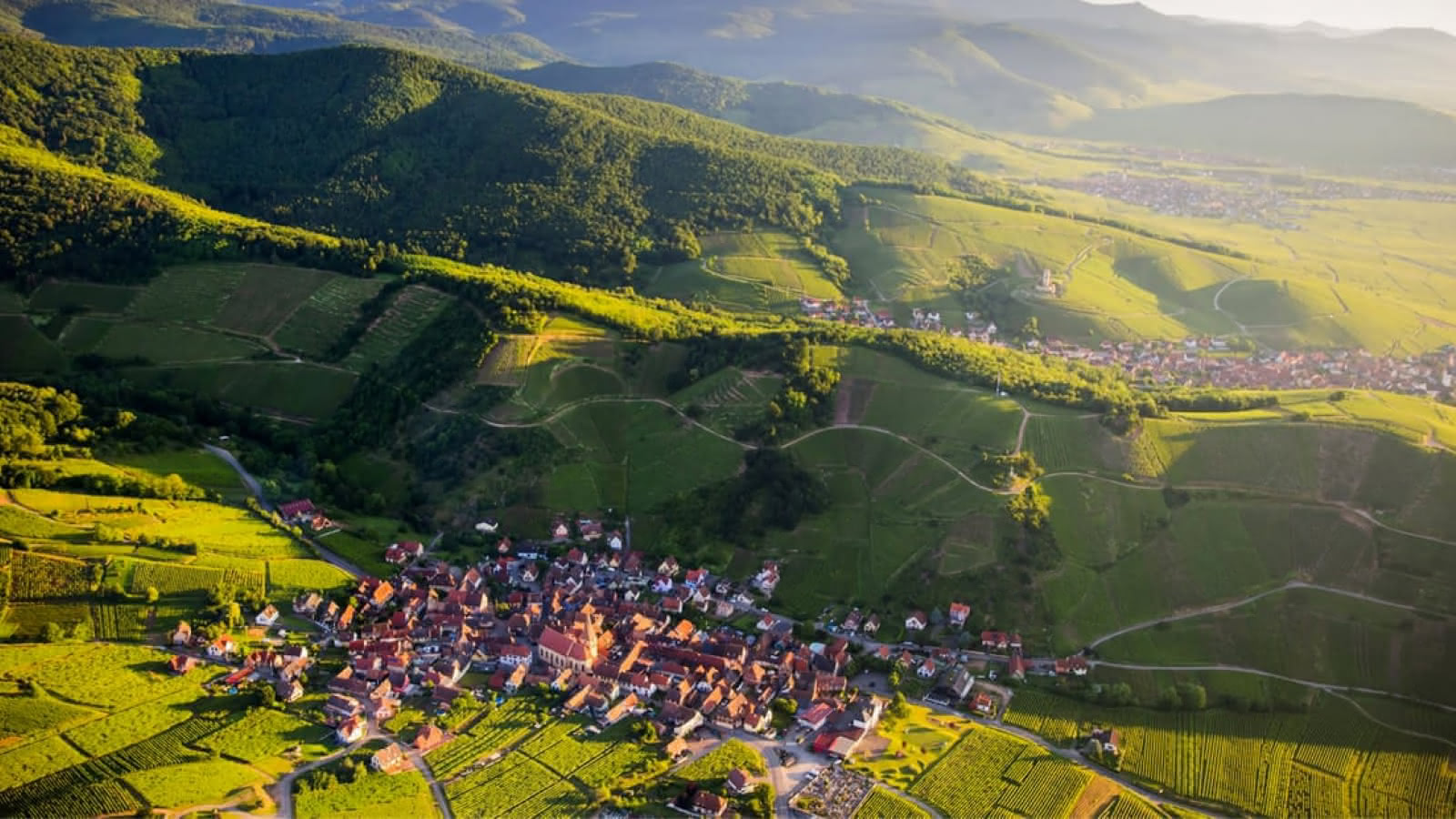 Route des Vins d’Alsace: A Scenic Journey Through the Heart of France’s Wine Region