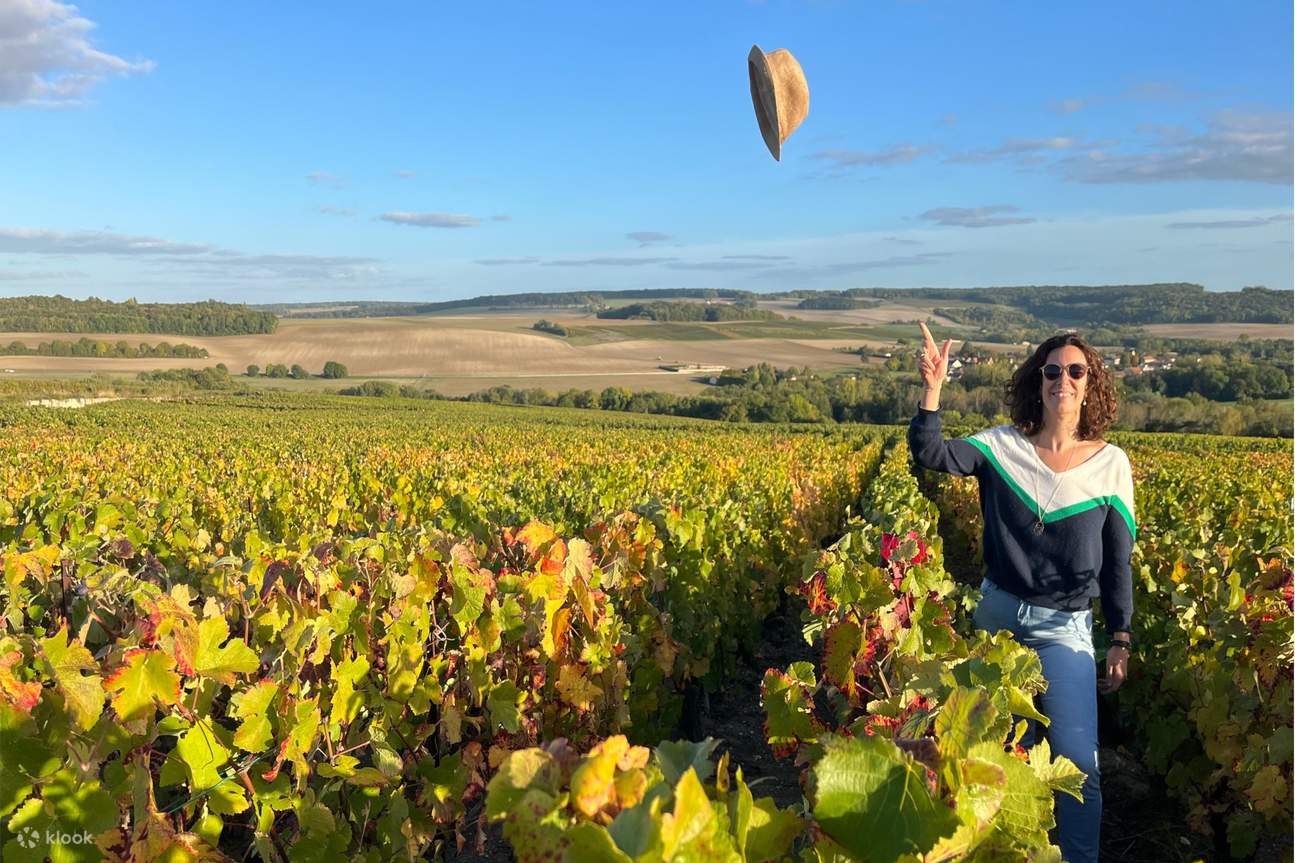 Sancerre: Discover the Hidden Gem of France and Why You Must Visit