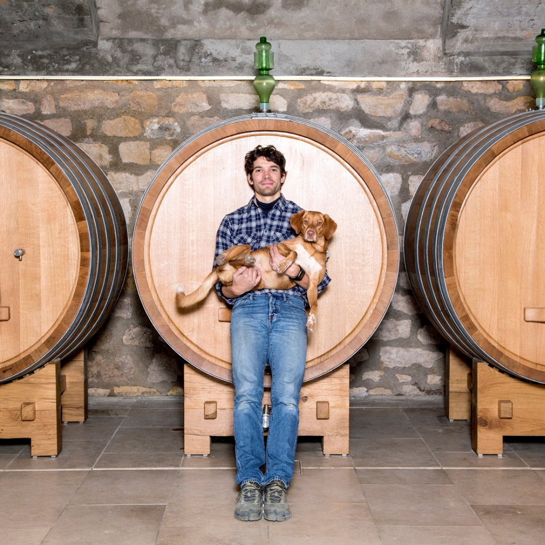 Sancerre: Discover the Hidden Gem of France and Why You Must Visit