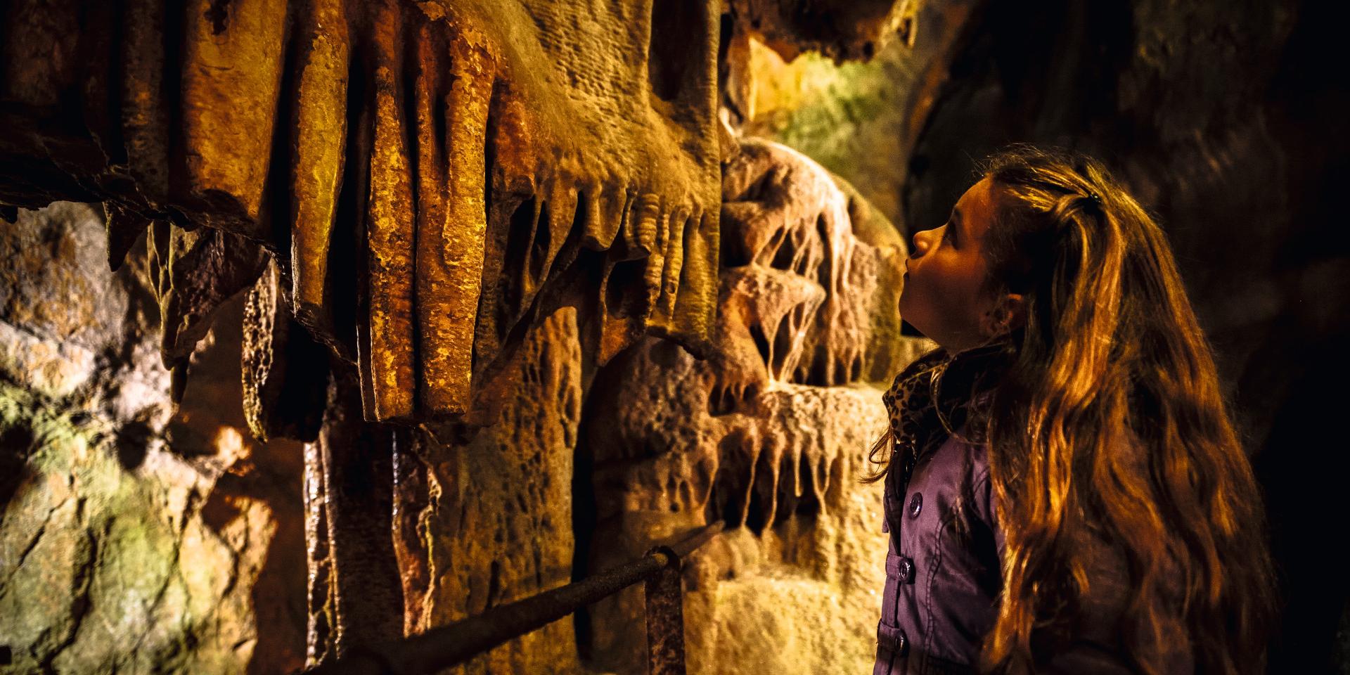 Tours: The Ultimate Guide to Exploring the Best of Tours, France