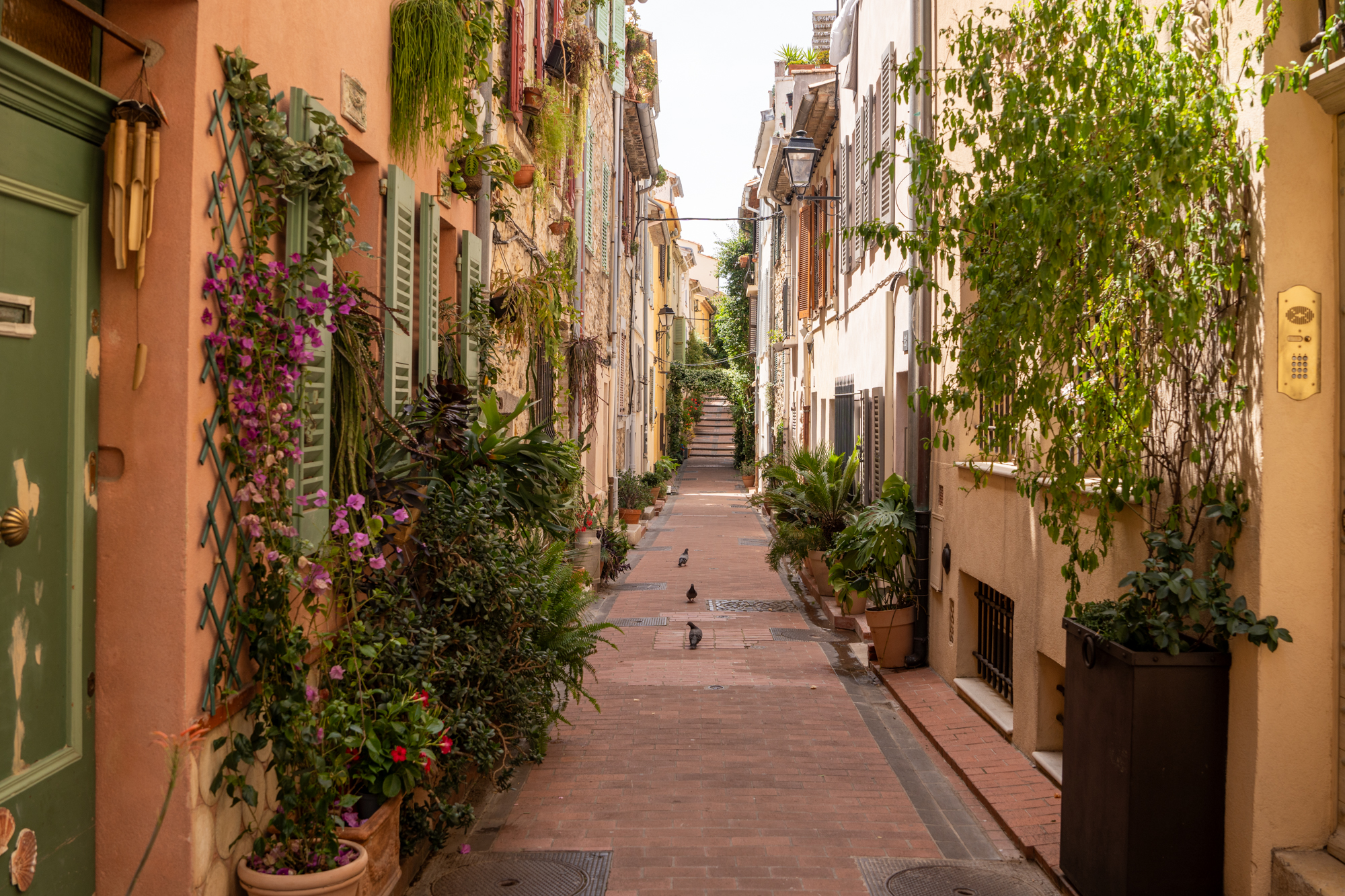 Villa Miraé by Inwood Hotels &#8211; Cap d&#8217;Antibes: Your Dream Escape in the French Riviera